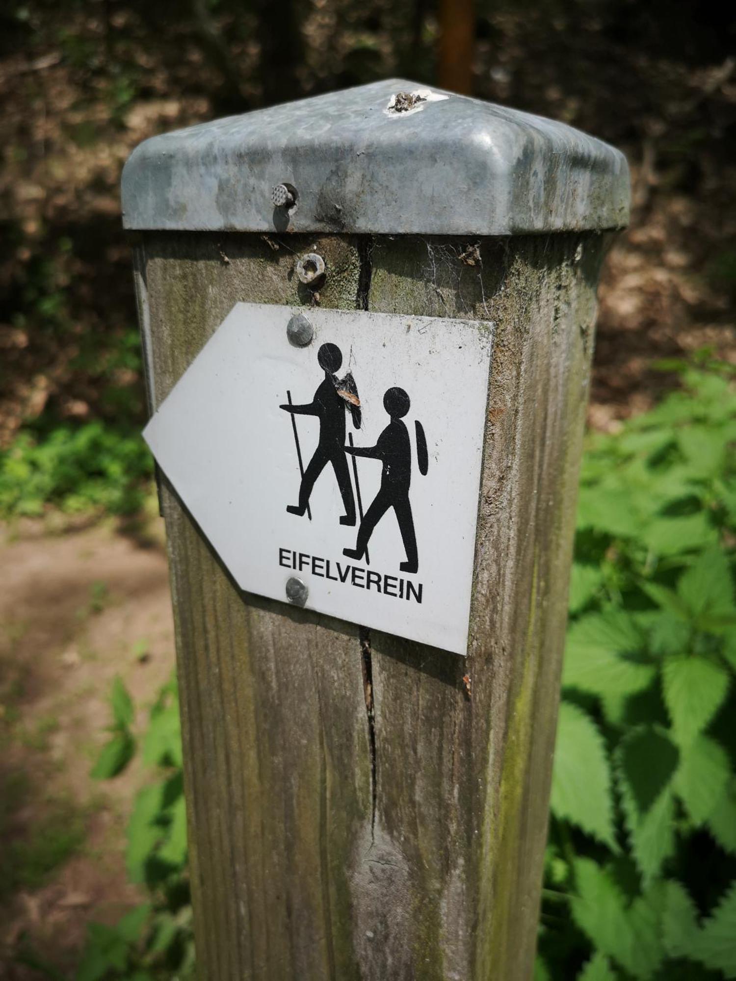 Ferienwohnung In Waldrandlage In Nationalpark Schleiden / Eifel Eksteriør bilde