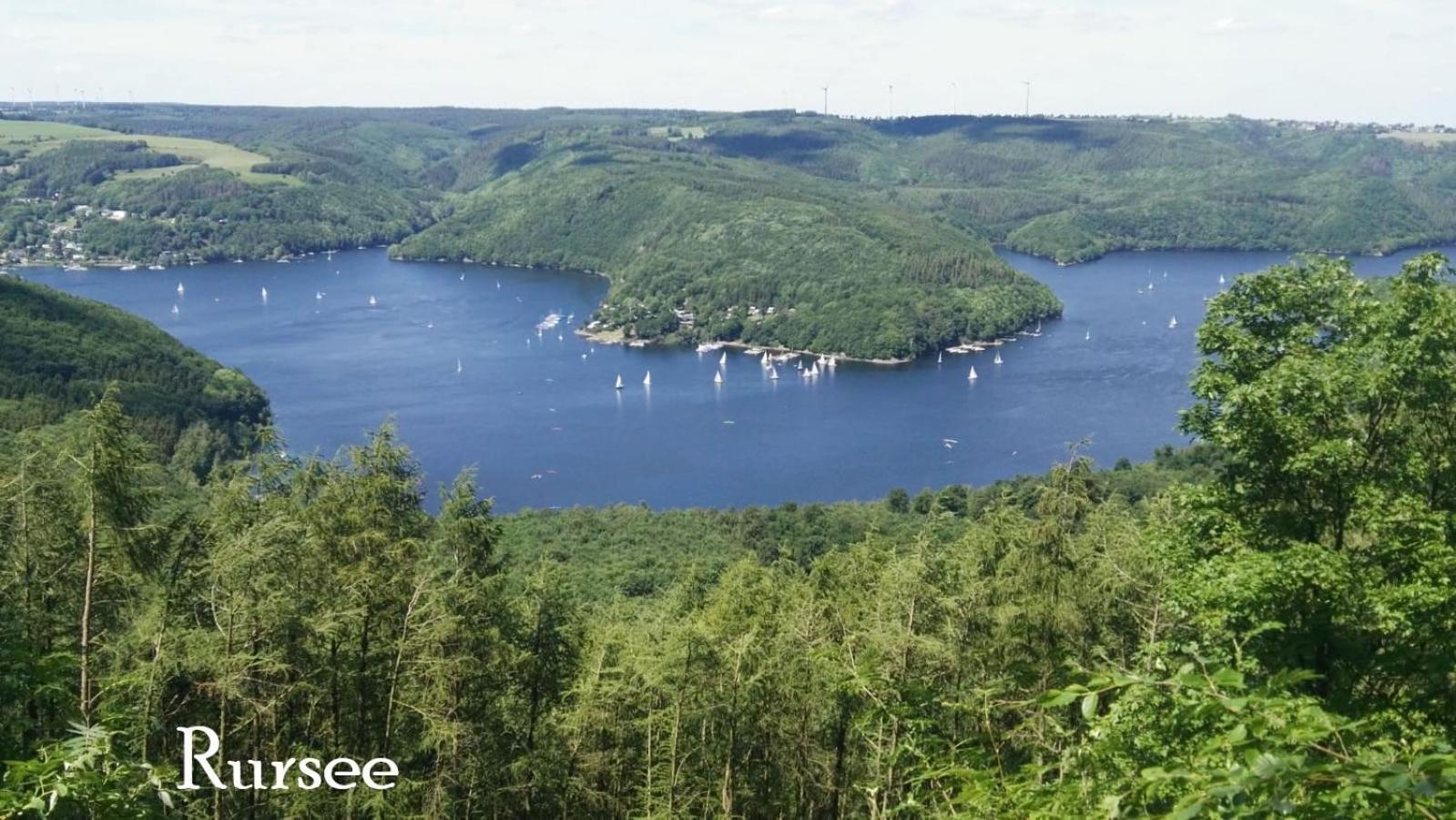 Ferienwohnung In Waldrandlage In Nationalpark Schleiden / Eifel Eksteriør bilde