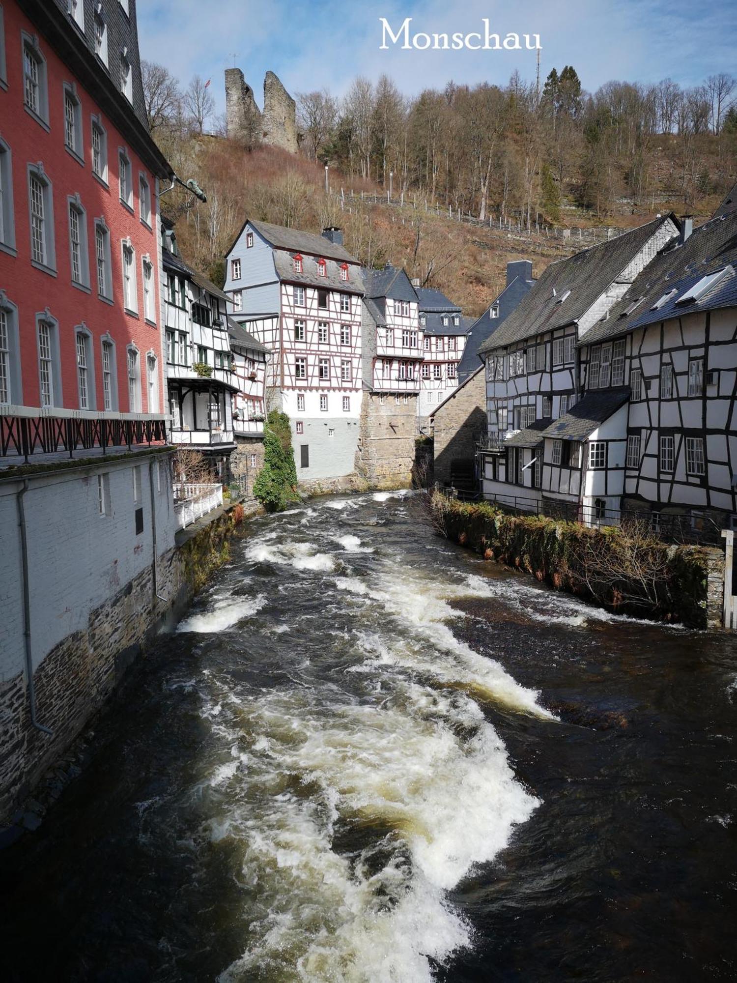 Ferienwohnung In Waldrandlage In Nationalpark Schleiden / Eifel Eksteriør bilde