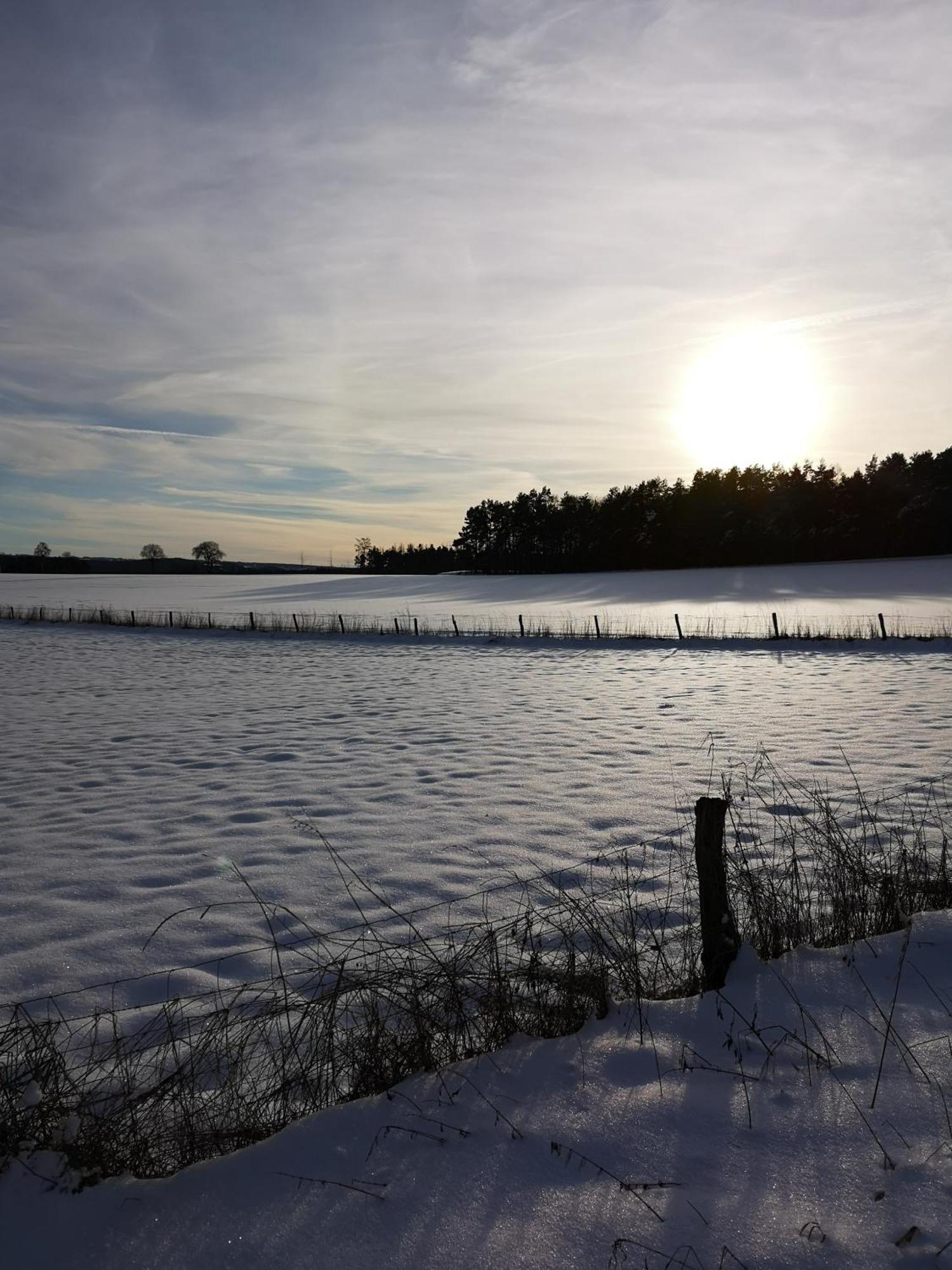 Ferienwohnung In Waldrandlage In Nationalpark Schleiden / Eifel Eksteriør bilde