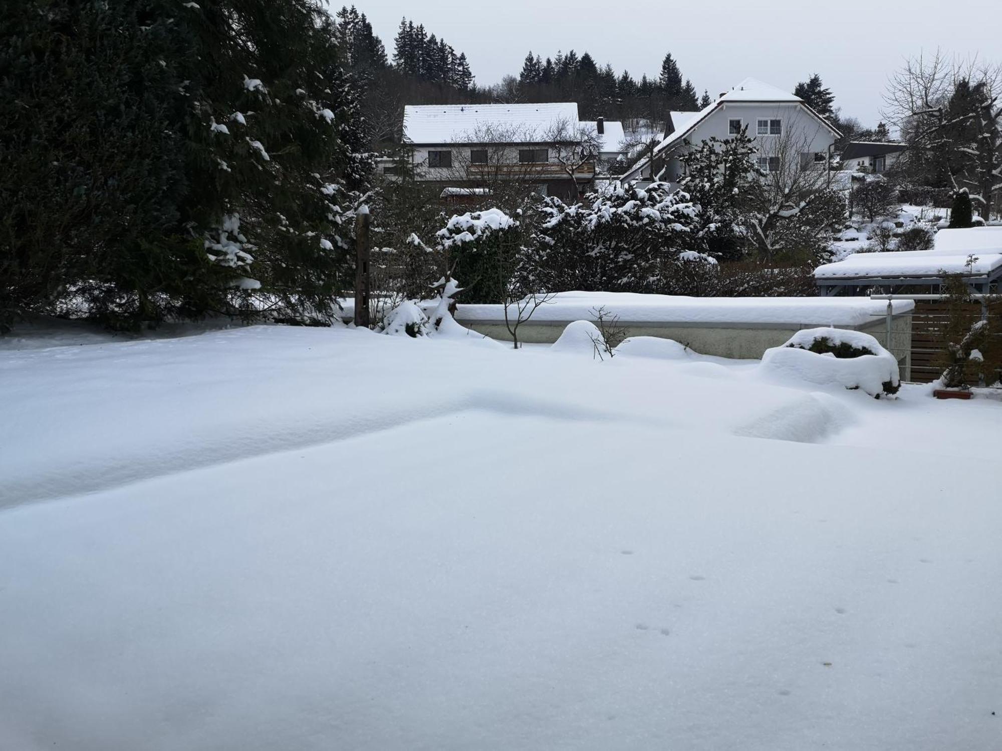 Ferienwohnung In Waldrandlage In Nationalpark Schleiden / Eifel Eksteriør bilde