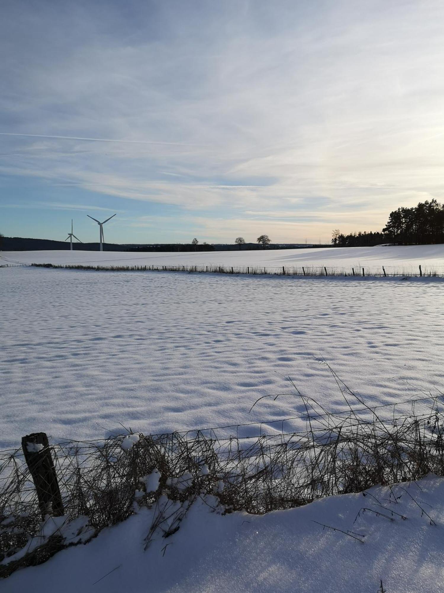Ferienwohnung In Waldrandlage In Nationalpark Schleiden / Eifel Eksteriør bilde