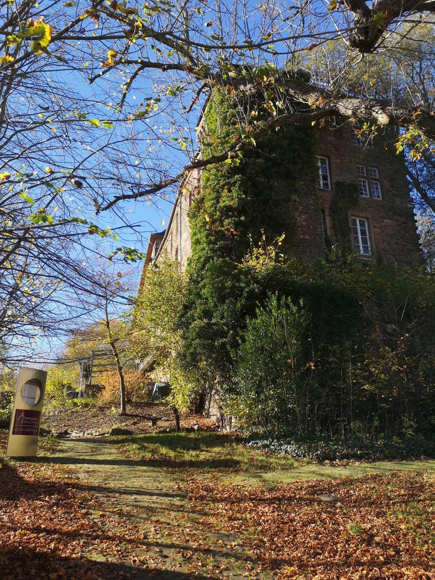 Ferienwohnung In Waldrandlage In Nationalpark Schleiden / Eifel Eksteriør bilde