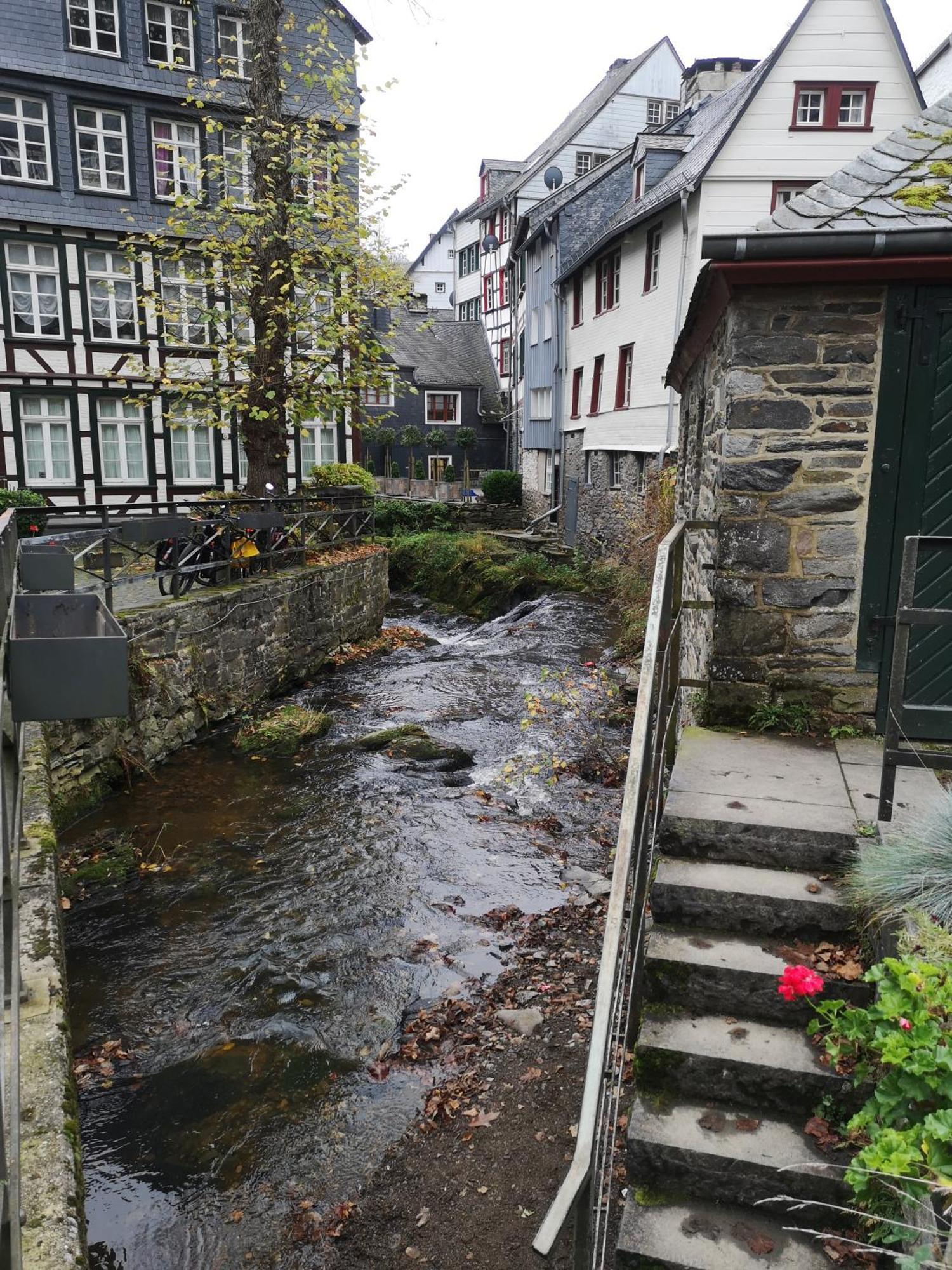 Ferienwohnung In Waldrandlage In Nationalpark Schleiden / Eifel Eksteriør bilde