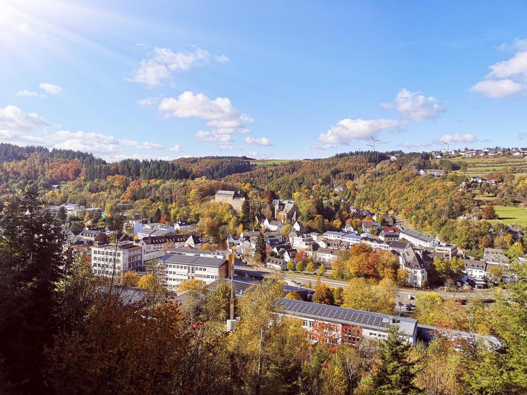Ferienwohnung In Waldrandlage In Nationalpark Schleiden / Eifel Eksteriør bilde